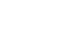 LavenderTurtleCreative-Logo-White-300px